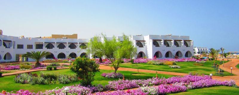 Kiteurlaub in Ägypten Marsa Alam